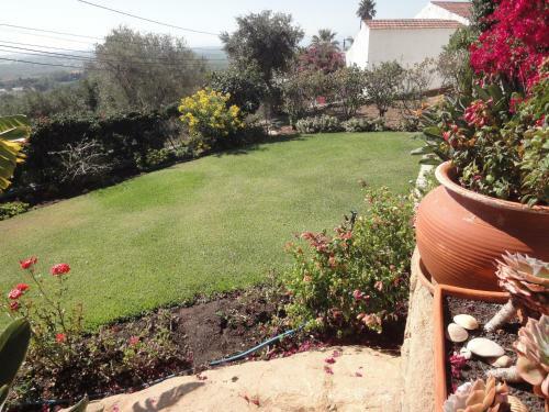 Orchidea Terrace
