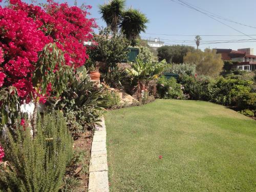 Orchidea Terrace
