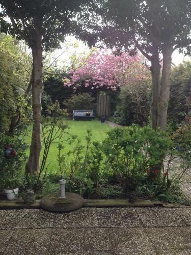 B&B De Tred
