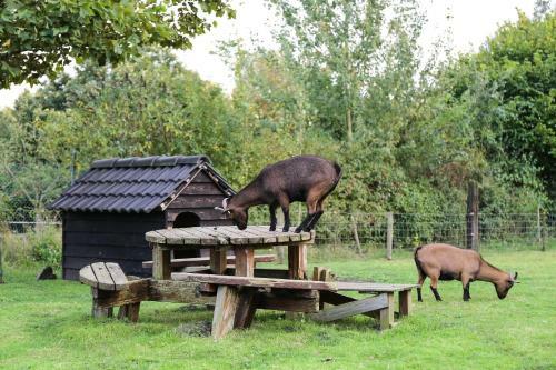 Bed & Breakfast De Rolders