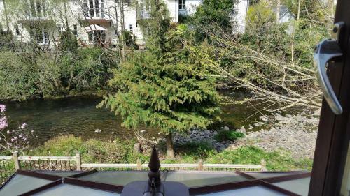 Bed & Breakfast Kingfisher Cottage