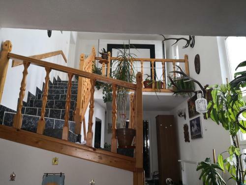 Casa Danci II