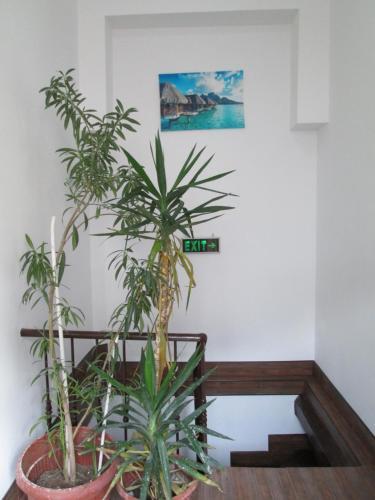 Joe Hostel