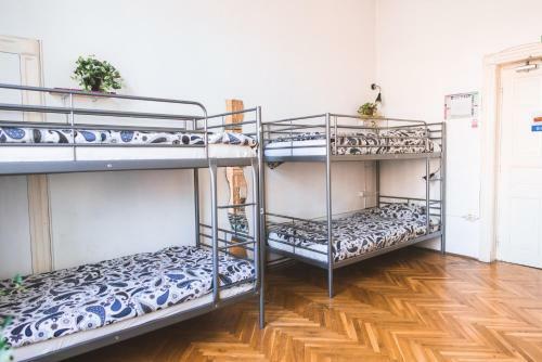 Albergue Podstel Bucharest