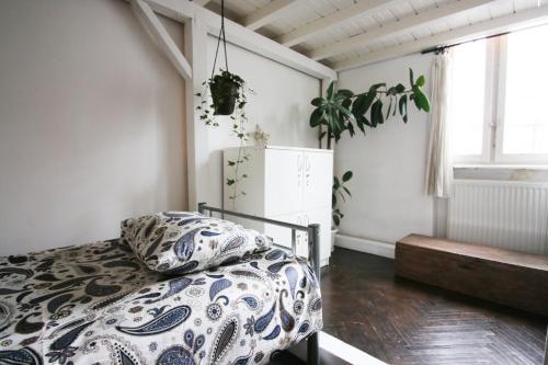 Albergue Podstel Bucharest