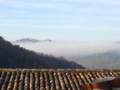 Campo Della Fiora