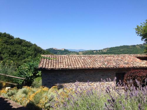 Campo Della Fiora