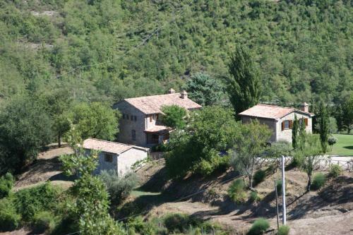 Campo Della Fiora