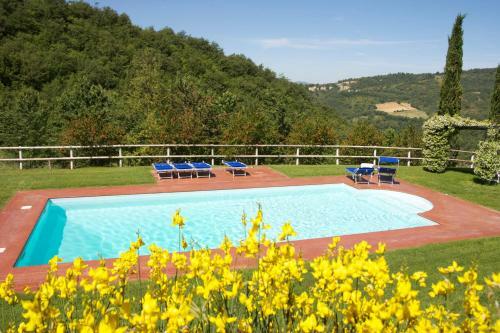 Campo Della Fiora