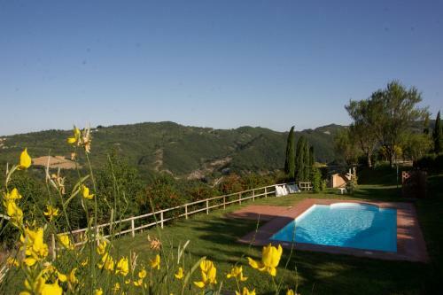 Campo Della Fiora