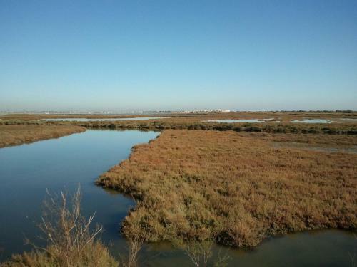 Apartamento Green Village