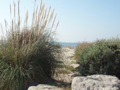 Apartamento Green Village