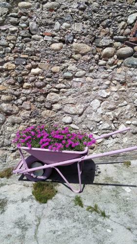 Vicolo Del Nido B&B