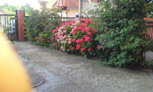 Hostal Guest House Mirijevski Konak