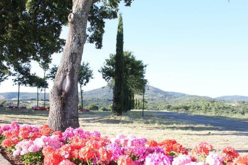 Casa Vacanze Debbiare