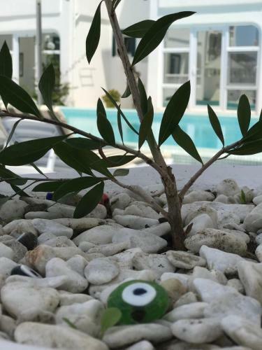Bahama Art Hotel