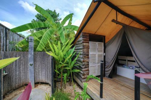 Hotel Flor Y Bambu