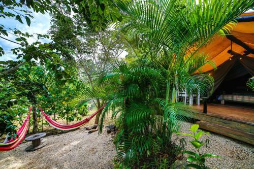 Hotel Flor Y Bambu