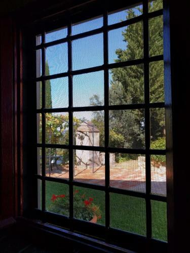 Agroturismo Il Torriano