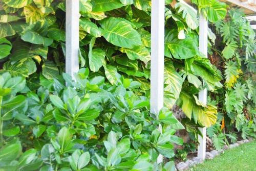 Apartamento Cap Soleil