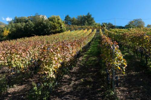 Agroturismo Agriturismo Gli Elfi