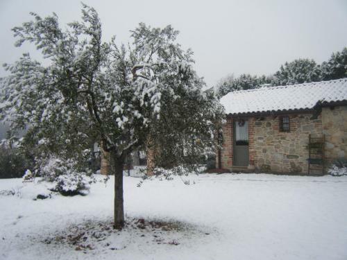 B&B Il Salice
