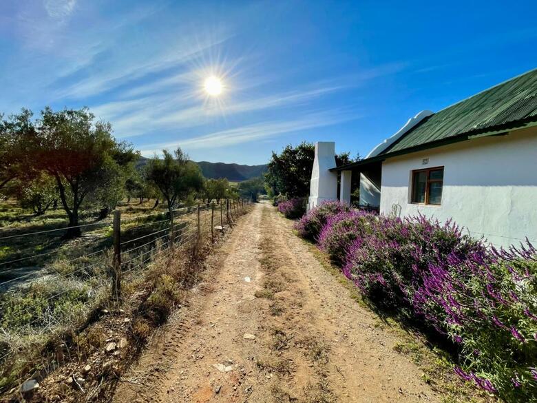 Agroturismo Blue Cow Barn - Boutique Farm