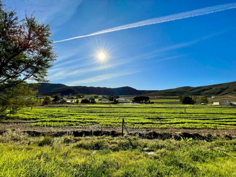 Agroturismo Blue Cow Barn - Boutique Farm