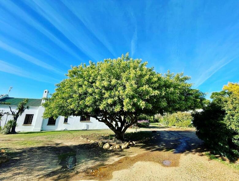 Agroturismo Blue Cow Barn - Boutique Farm
