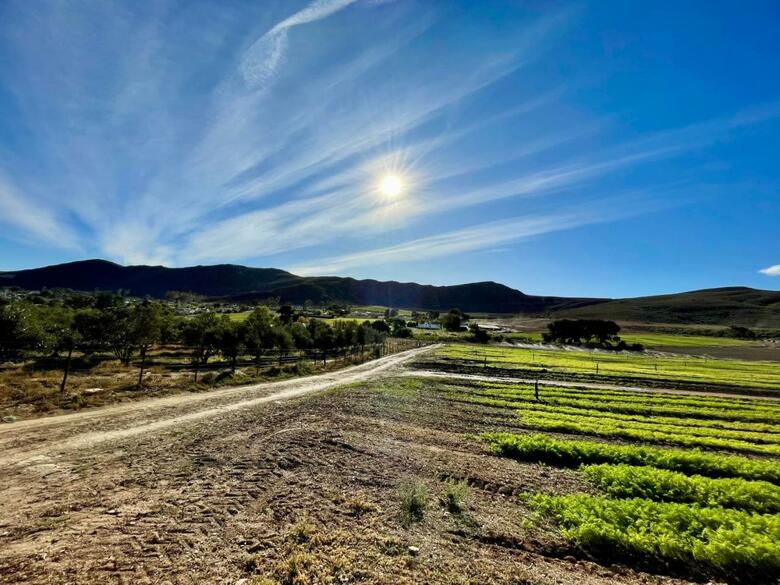 Agroturismo Blue Cow Barn - Boutique Farm