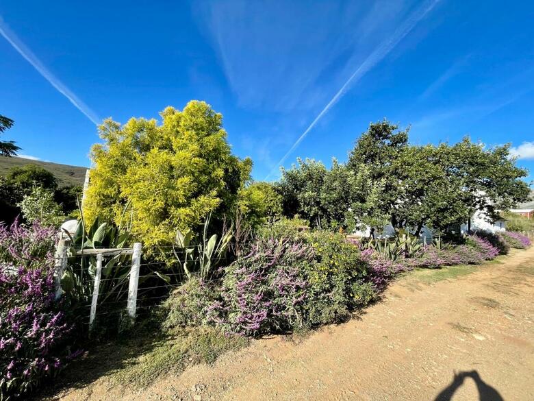 Agroturismo Blue Cow Barn - Boutique Farm