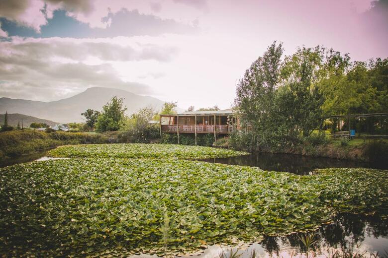 Agroturismo Blue Cow Barn - Boutique Farm