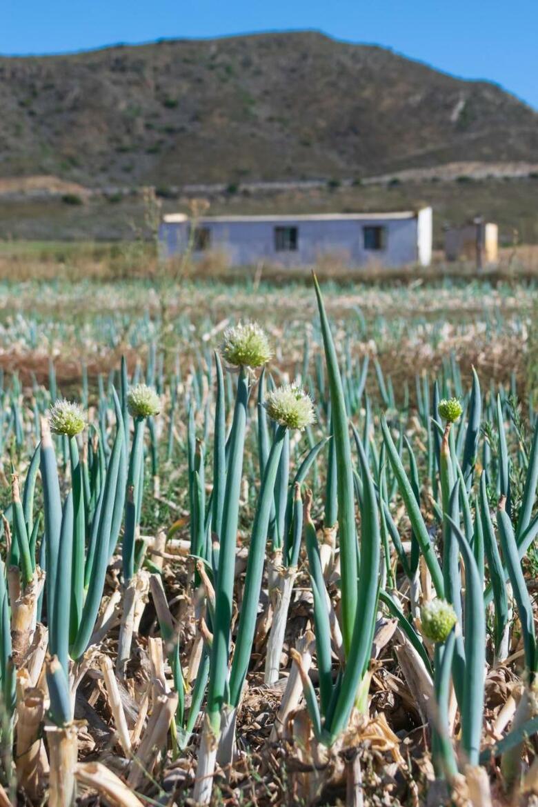Agroturismo Blue Cow Barn - Boutique Farm