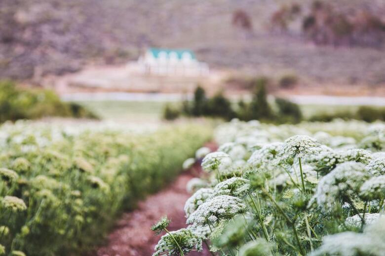 Agroturismo Blue Cow Barn - Boutique Farm