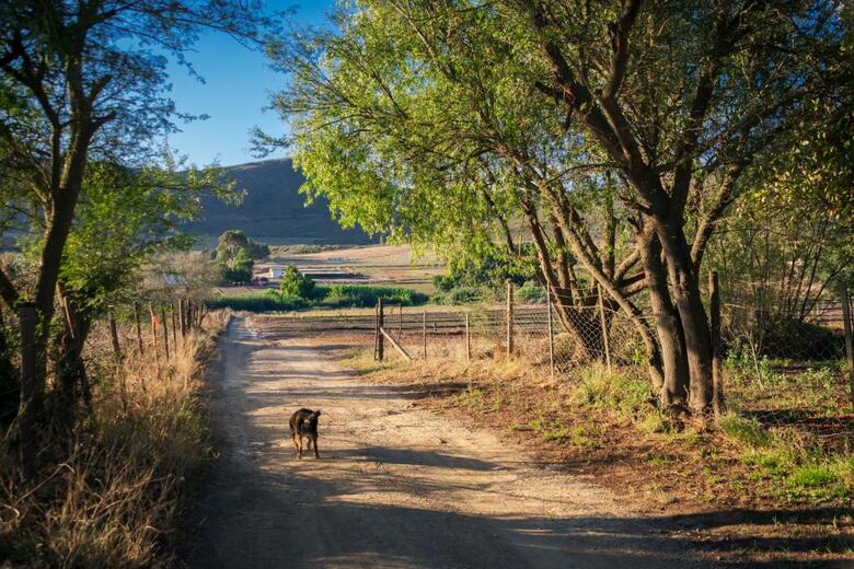 Agroturismo Blue Cow Barn - Boutique Farm