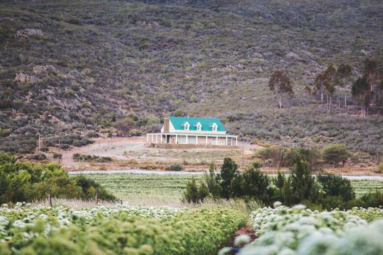 Agroturismo Blue Cow Barn - Boutique Farm