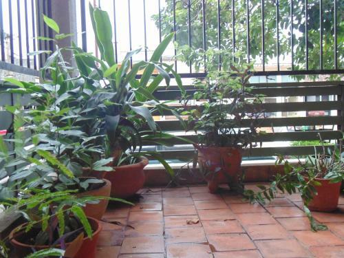 Hostal Apartamento Lo De Julia