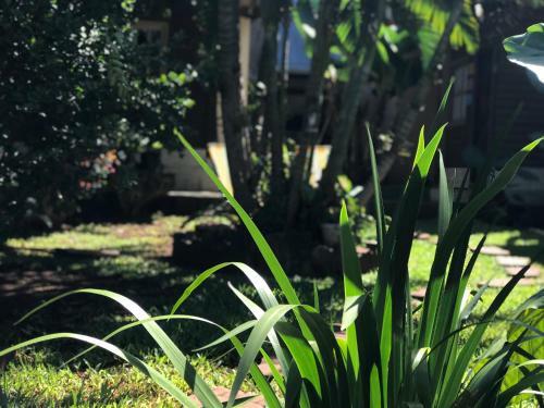 Apartamento La Guadalupe