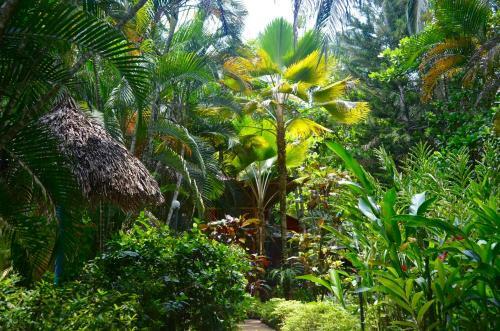 Hotel Amanwana Ecofinca