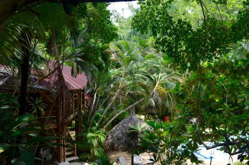 Hotel Amanwana Ecofinca