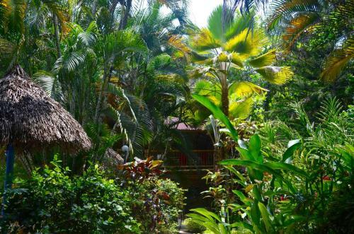 Hotel Amanwana Ecofinca