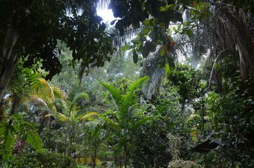 Hotel Amanwana Ecofinca