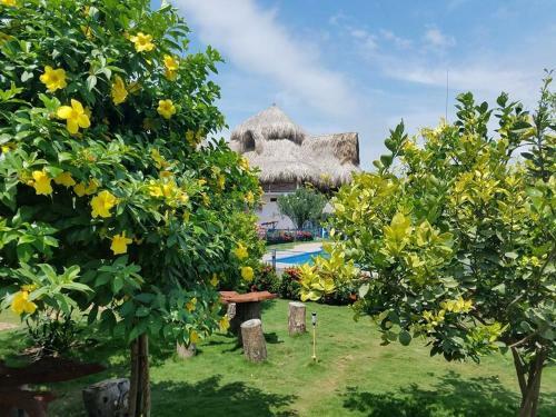 Palomino Breeze Hostal