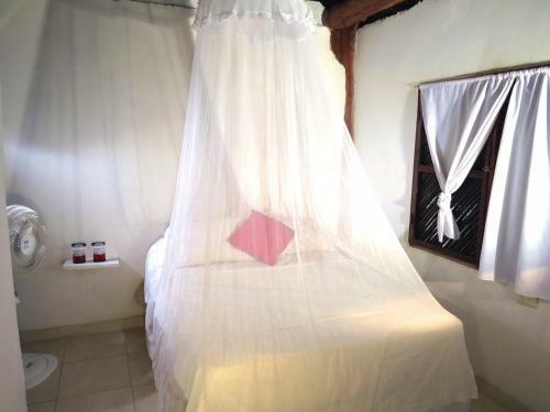Palomino Breeze Hostal