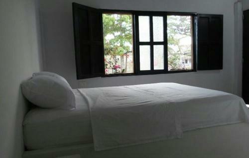 Palomino Breeze Hostal