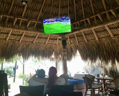 Palomino Breeze Hostal