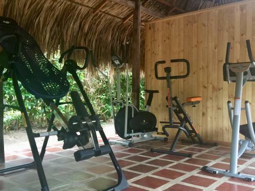 Palomino Breeze Hostal