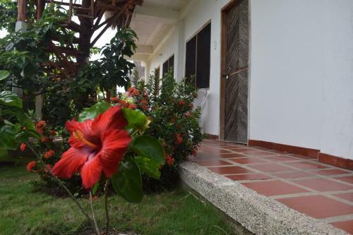 Palomino Breeze Hostal