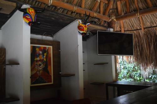 Palomino Breeze Hostal