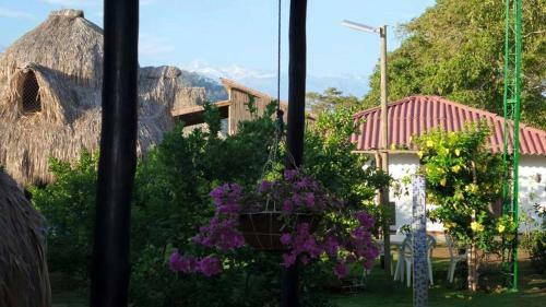 Palomino Breeze Hostal